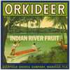 Orkideer Citrus Label
