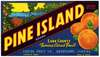 Pine Island Brand Citrus Label