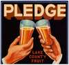 Pledge Fruit Label