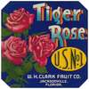 Tiger Rose Fruit Label