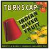 Turk’s Cap Citrus Label