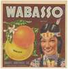 Wabasso Brand Citrus Label