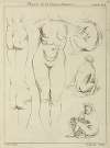 Studies of the female torso, buttocks, and seated figures, dorsal view