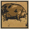 The Square Book of Animals; The Learned Pig