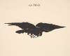 Flying Raven (ex libris)