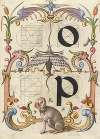 Guide for Constructing the Letters o and p