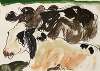 Cows