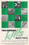 Toxaphene Kills Insect Pests