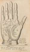 Plate XXII: Palmistry chart of right hand