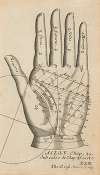 Plate XXIII: Palmistry chart of left hand