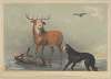 Stag at Bay; – Suggested by the Beautiful Picture of Edwin Landseer R.A., Esquire