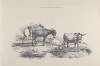 Thomas Sydney Cooper’s cattle subjects Pl.10