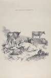 Thomas Sydney Cooper’s cattle subjects Pl.18