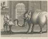 Fable X. The Elephant and the Bookseller