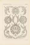 Outlines of ornament in the leading styles Pl.51