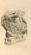 Anatomia humani corporis Pl.034