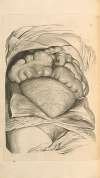 Anatomia humani corporis Pl.055
