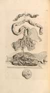 Anatomia humani corporis Pl.061