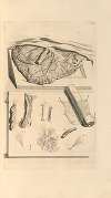 Anatomia humani corporis Pl.062
