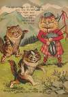 More cats from Scotland