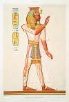 Peinture; portrait en pied de Ramsès III (nécropole de Thèbes — XXe. dynastie)
