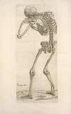Tertia ossium tabula [Skeleton in aiming position]