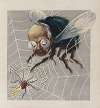 ‘Will you walk into my parlor’ said the spider to the fly