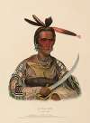To-Ka-Con. A Sioux Chief