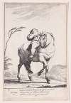 Plate 18; Cacasenno on horseback