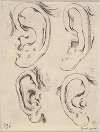 Plate 5; four ears.