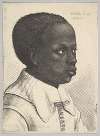 Head of a Young Black Boy in Profile to the Right