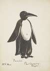 Pinocchio: Black penguin suit