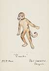 Pinocchio: The Brown Dog. Brown dog suit with red collar