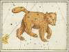 Ursa Major