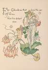 Flora’s feast; A masque of flowers Pl.21