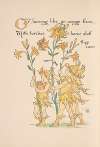 Flora’s feast; A masque of flowers Pl.26