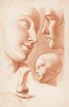 Heads of woman, man and child