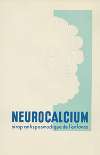 Neurocalcium