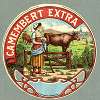 Camembert extra