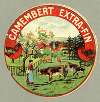 Camembert extra fin