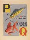 A. B. C.; Alphabet des petits poissons et des gros Pl.10