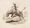 A black man rides a bucking water buffalo, which is tiring, while an American flag flies in the background.