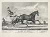 Lady Sutton. Centreville trotting course, L.I.