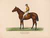 Ormonde; ridden by Fred. Archer