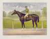 The racing King Salvator, mile record