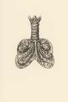 Cross section of trachea and lungs