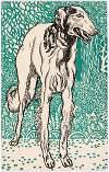 Nr. 677: Windhund (Greyhound)