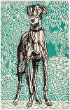 Nr. 678: Windhund (Greyhound)