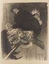 Coq et poules