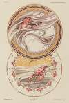 Fantaisies décoratives Pl.15